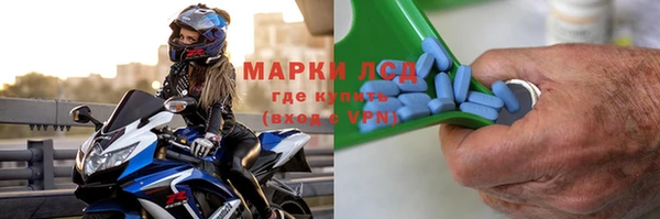 PSILOCYBIN Вяземский