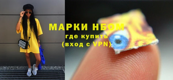дживик Вязьма