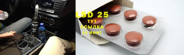 дживик Вязьма