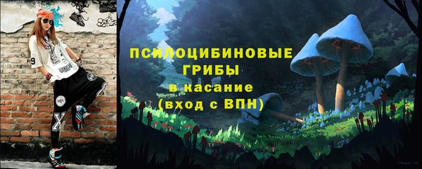 дживик Вязьма