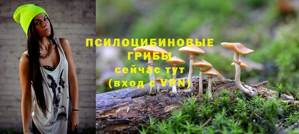 ПСИЛОЦИБИНОВЫЕ ГРИБЫ Волоколамск
