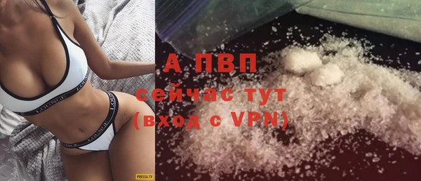 PSILOCYBIN Вяземский
