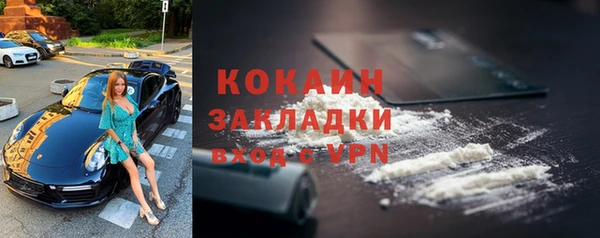 дживик Вязьма