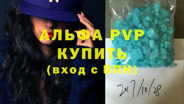 PSILOCYBIN Вяземский