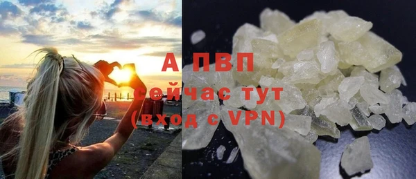 дживик Вязьма