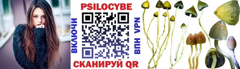 сколько стоит  Иваново  Галлюциногенные грибы Psilocybine cubensis 