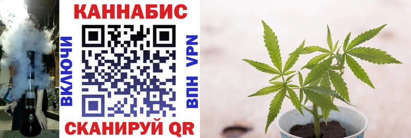 Бошки Шишки MAZAR  Иваново 